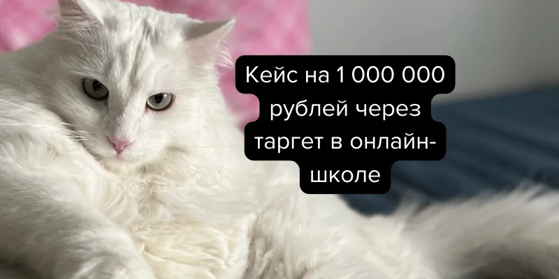 Инфобизнес Вконтакте в нише косметологии: кейс таргета в онлайн-школе на 1 000 000 р. бюджета