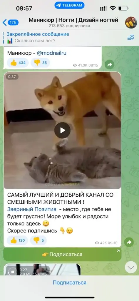 разбор ошибок рекламы в тг пример