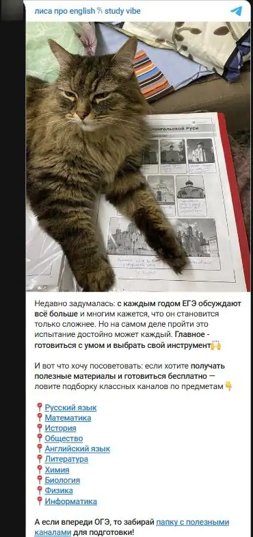 Пример нативной рекламы в Телеграм: подборка каналов для подготовки к ЕГЭ