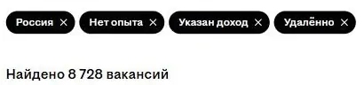 Поиск вакансий для заработка на дому без опыта на hh.ru: фильтры «Россия», «Нет опыта», «Указан доход», «Удалённо», найдено 8 728